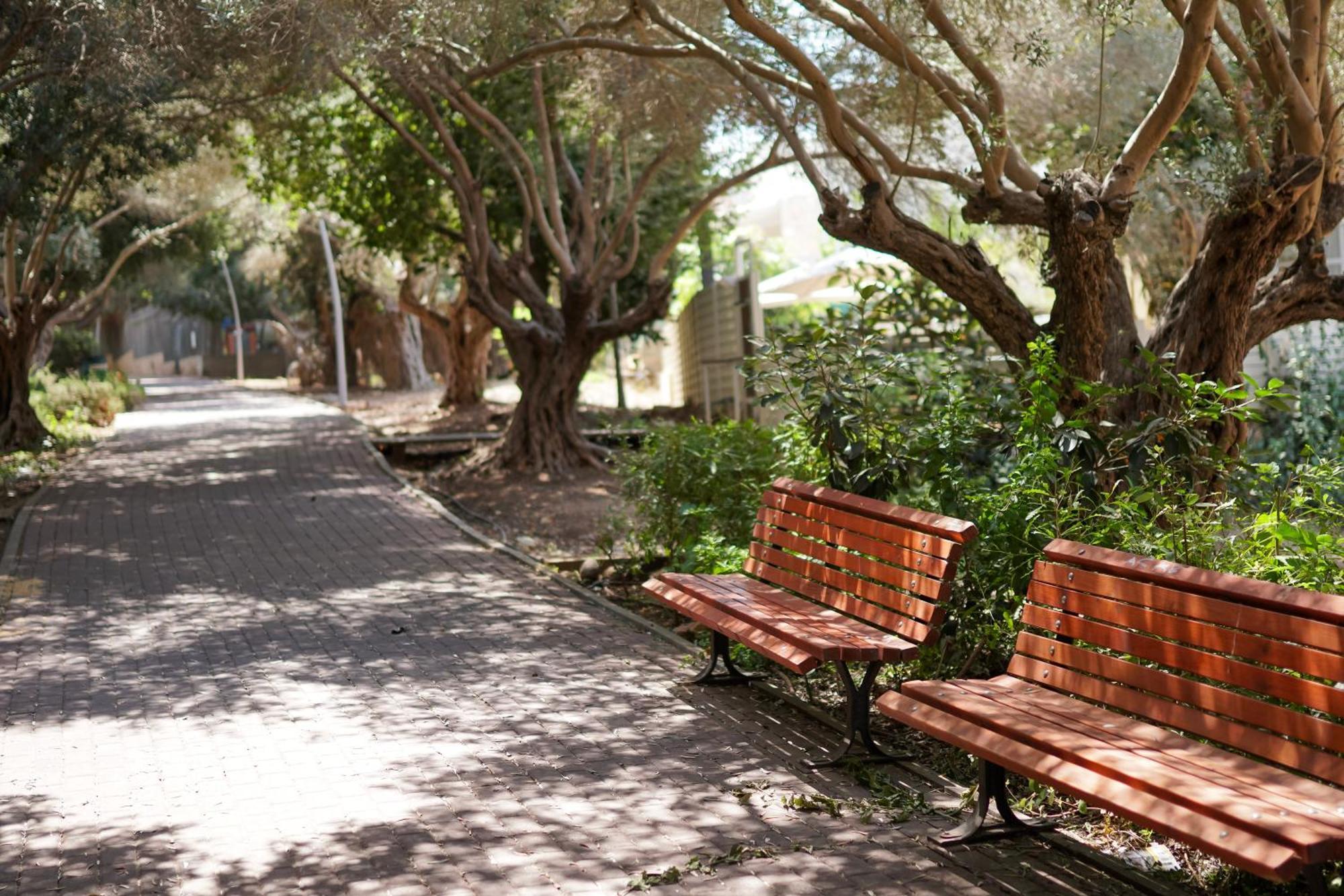 Amanda'S Place Central Modern Spacious Family Apt Zikhron Ya'akov Εξωτερικό φωτογραφία